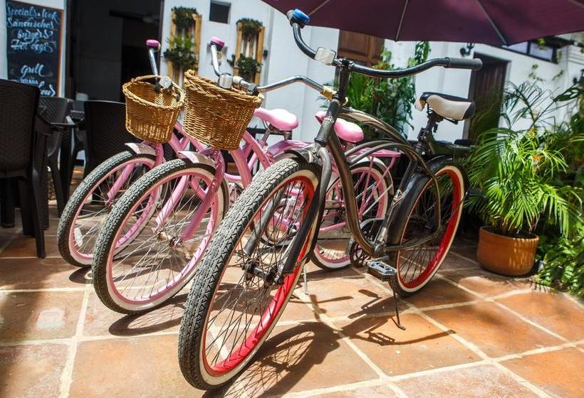 Aroha Villana Hostel