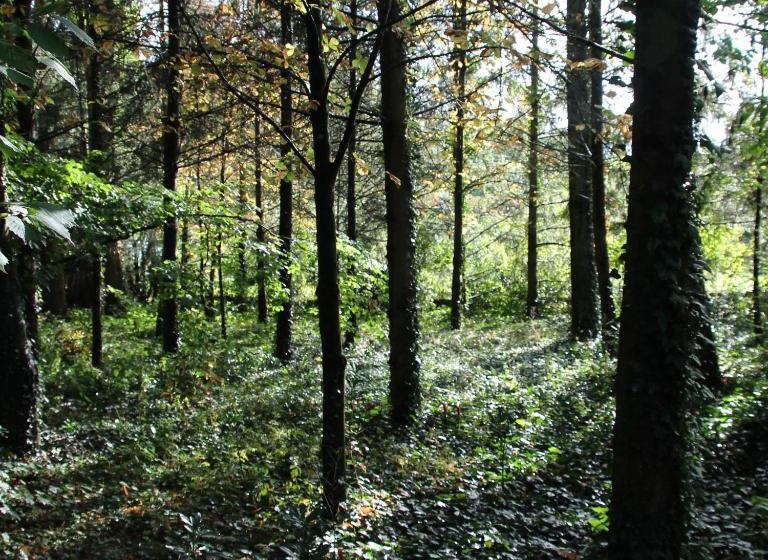 פנסיון La Maison De Famille