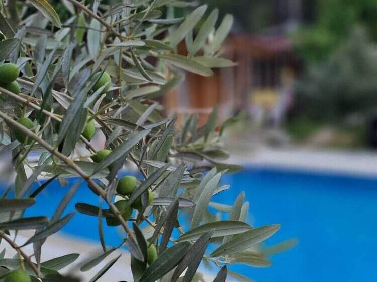 هتل Atlas Pansiyon