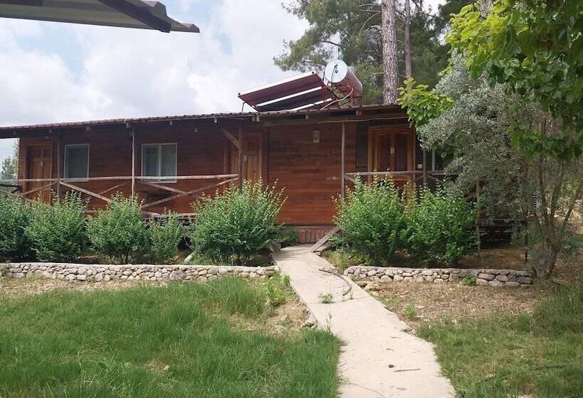 هتل Atlas Pansiyon