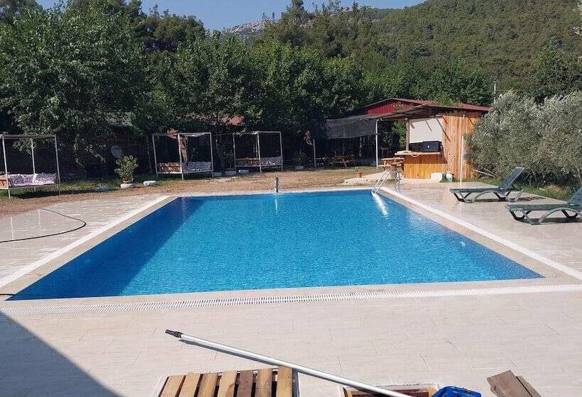 هتل Atlas Pansiyon