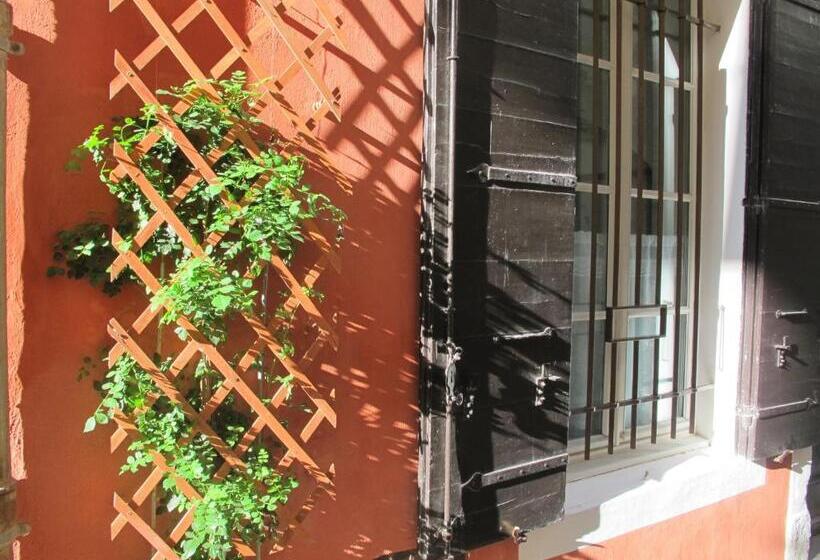 B&b In Arles L Atelier Du Midi Chambre D Hôtes Centre Historique Arles