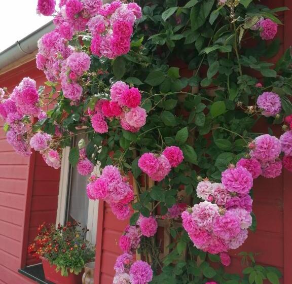 住宿加早餐 La Ferme De Kerraoul