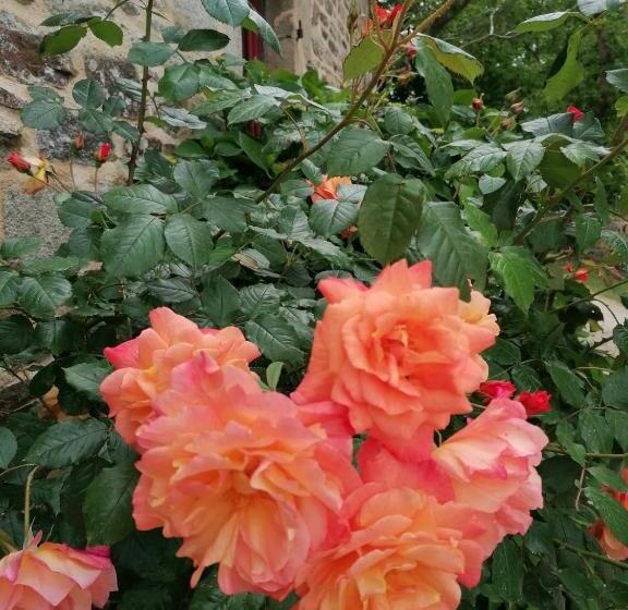 住宿加早餐 La Ferme De Kerraoul