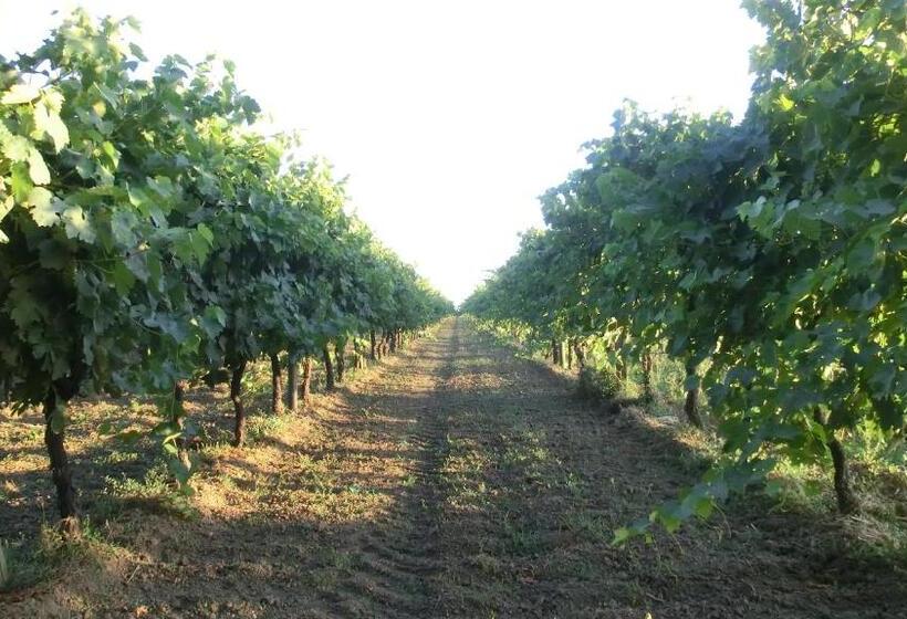 مبيت وإفطار La Fontenelle Chambres D'hôtes