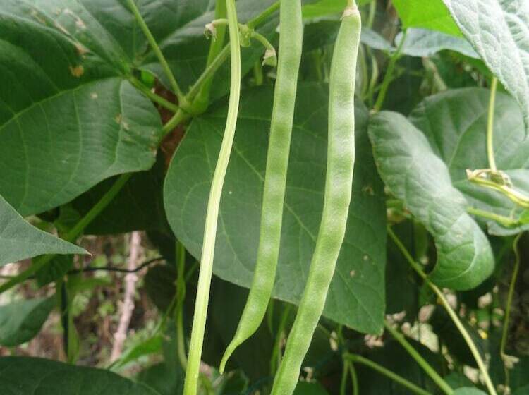 مبيت وإفطار La Fontenelle Chambres D'hôtes