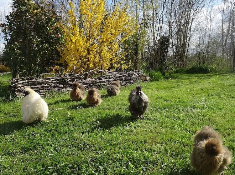 مبيت وإفطار La Fontenelle Chambres D'hôtes