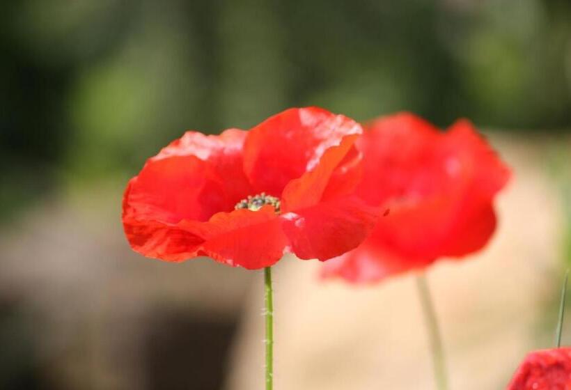 تختخواب و صبحانه Le Mas De Bertagne