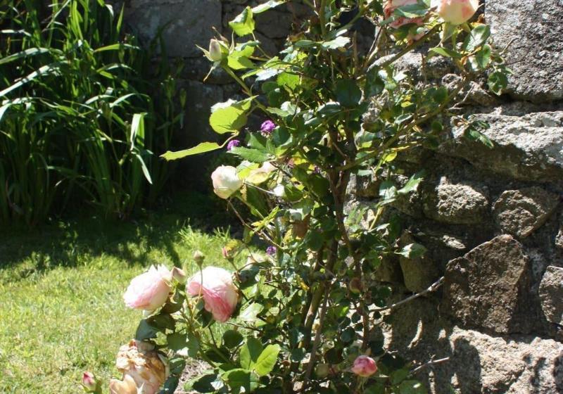 住宿加早餐  Les Chambres D Hotes De Kerasquer