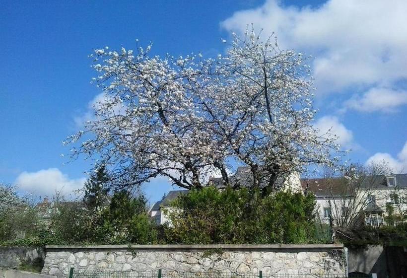 Bed and Breakfast Les Chambres Du Faubourg