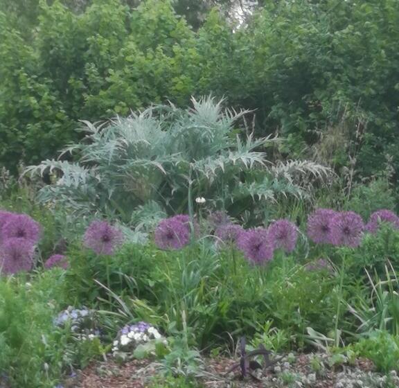 Bed and Breakfast Les Chambres Du Faubourg