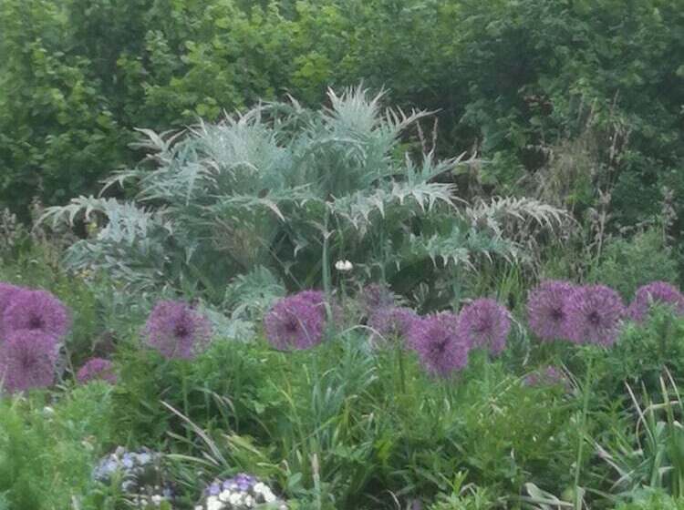 Bed and Breakfast Les Chambres Du Faubourg