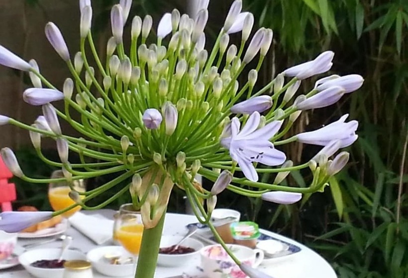 Bed and Breakfast Les Francières