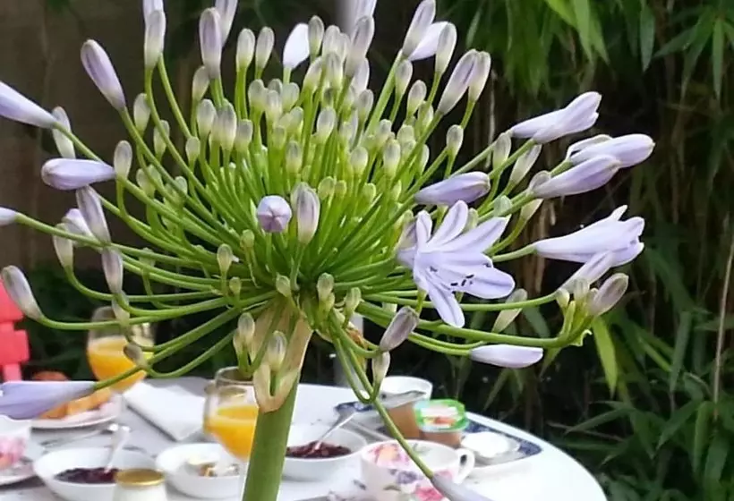 تختخواب و صبحانه Les Francières