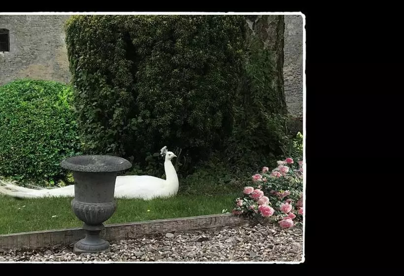Aamiaismajoitus (B&B) Manoir De Livet