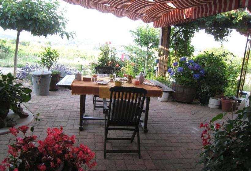 צימר Petite Suite Douillette