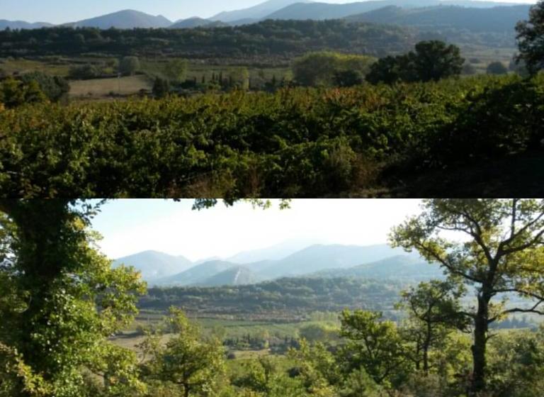민박 Chambres D Hôtes Aux Tournesols