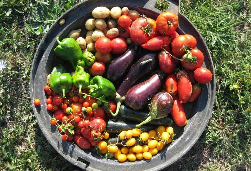 민박 Chambres D Hôtes Aux Tournesols