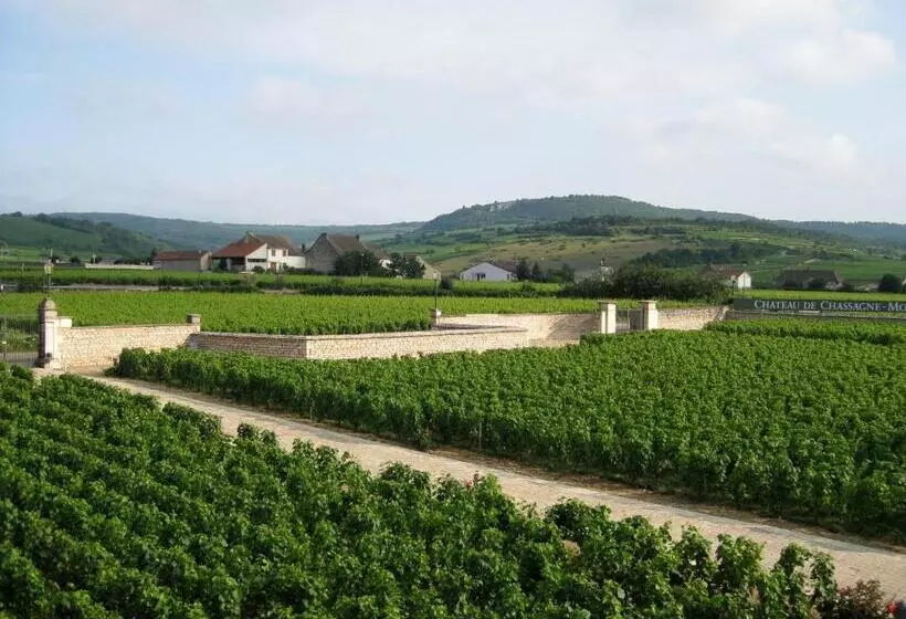 Aamiaismajoitus (B&B) Chateau De Chassagne Montrachet