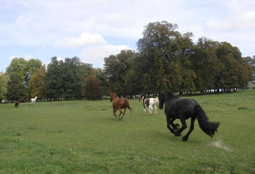 住宿加早餐  La Grange De Boulaines