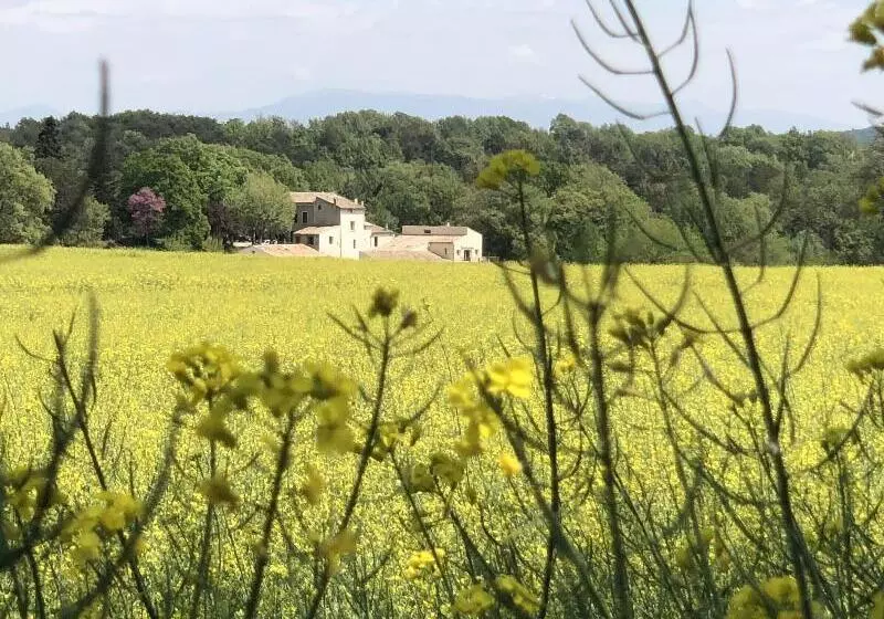 Aamiaismajoitus (B&B) Les ânes De Forcalquier