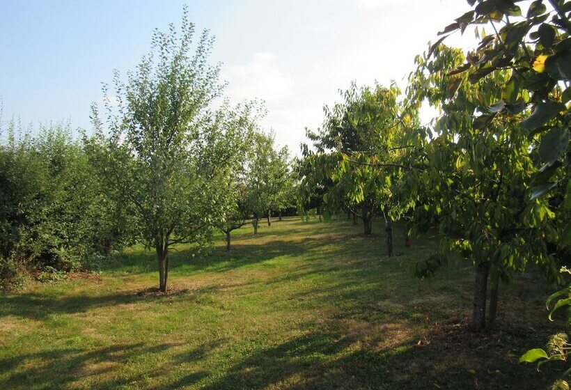 Bed and Breakfast Maison Magdala