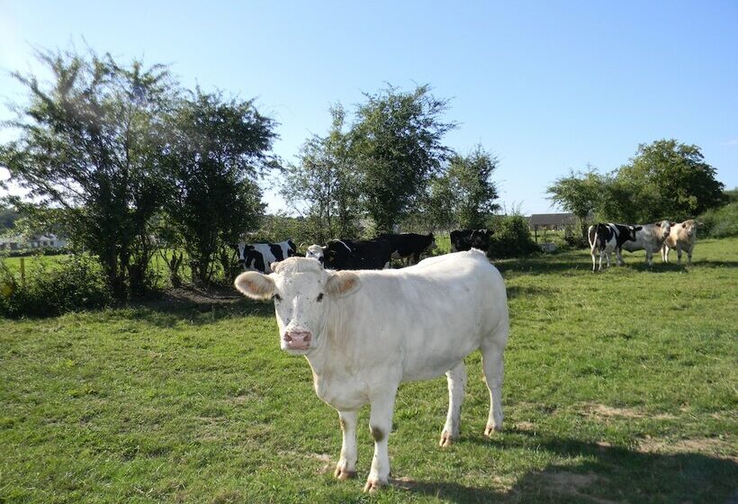 Bed and Breakfast Maison Magdala