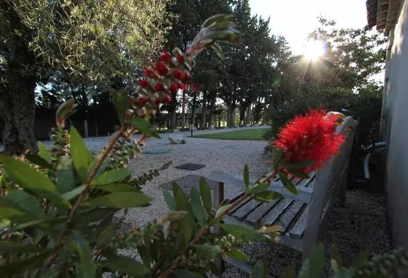 Aamiaismajoitus (B&B) Mas Paloma