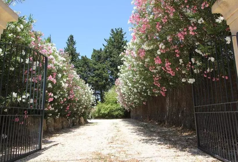 Aamiaismajoitus (B&B) Mas Paloma