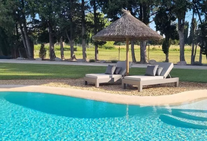 Aamiaismajoitus (B&B) Mas Paloma