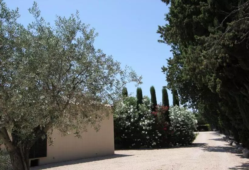 Aamiaismajoitus (B&B) Mas Paloma