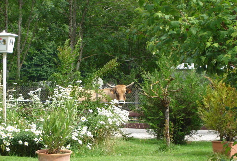 ホテル Gite Auberge Les Cascades