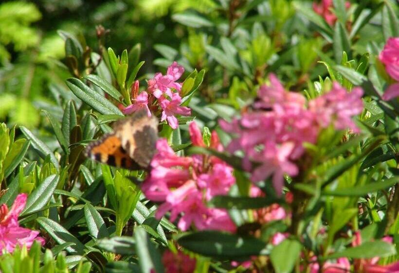 בית מלון כפרי Hôtel Café Les Fleurs