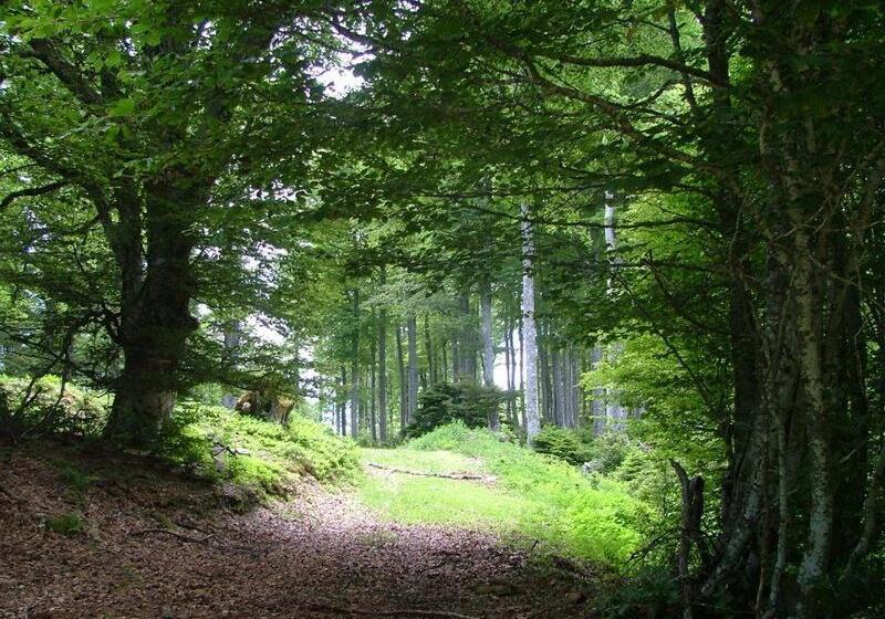 בית מלון כפרי Hôtel Café Les Fleurs