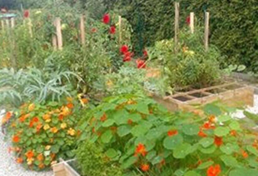 住宿加早餐 Chambre Et Table D Hôtes Magaadjukalo