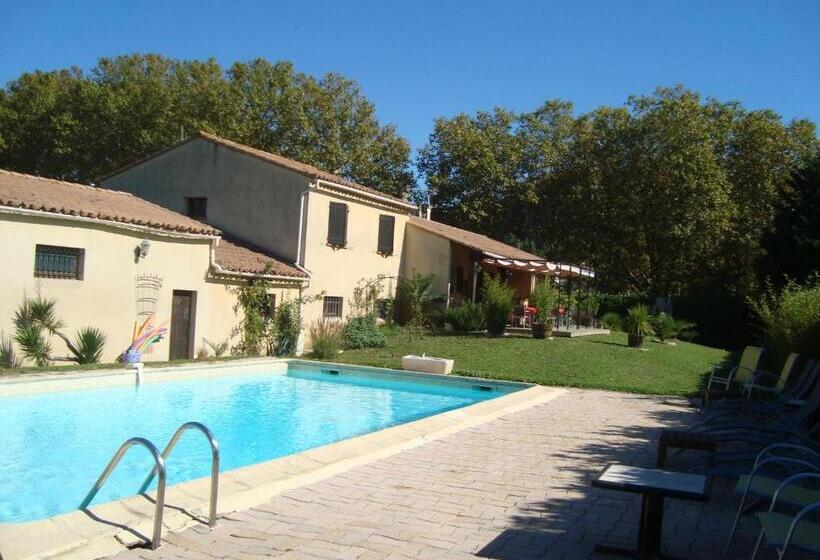 민박 Chambres D Hôtes Les Palmiers De La Cité