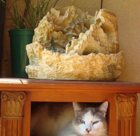 민박 Chambres D Hôtes Les Palmiers De La Cité