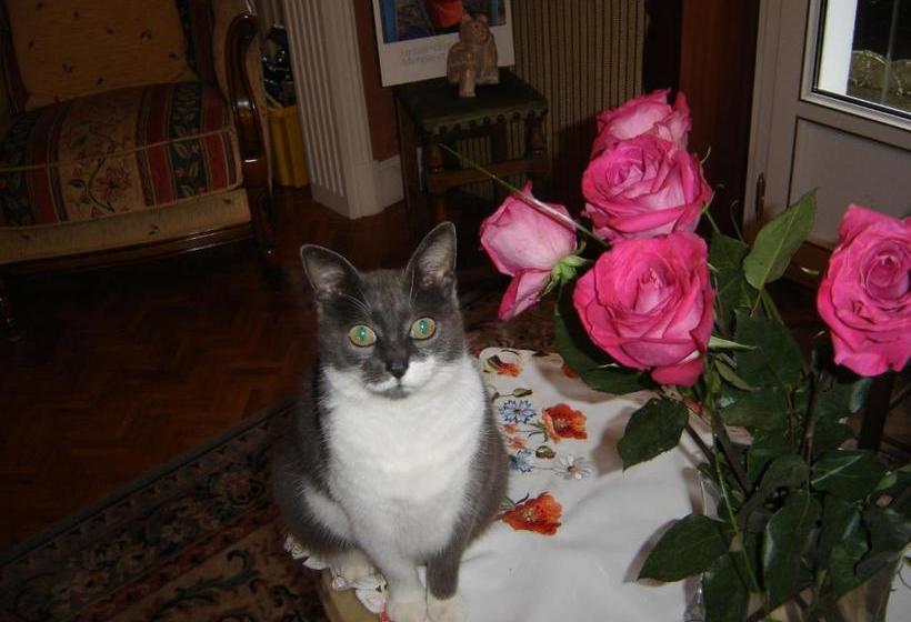 민박 Chambres D Hôtes Ty Mezad