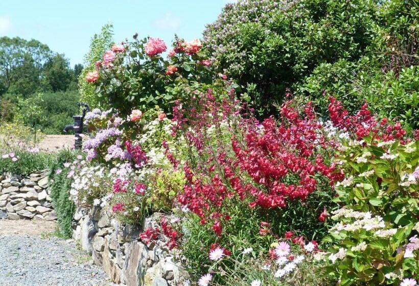 مبيت وإفطار Chambres D'hotes Losten Ar Gogues