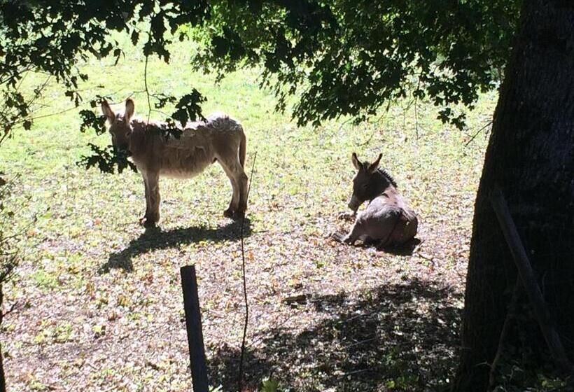 צימר Domaine De Joreau