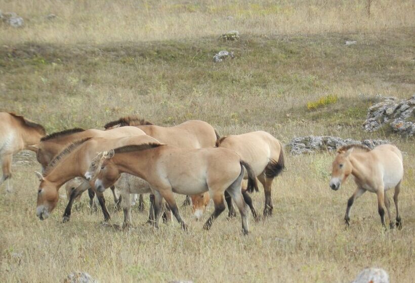 مبيت وإفطار La Grange Templière
