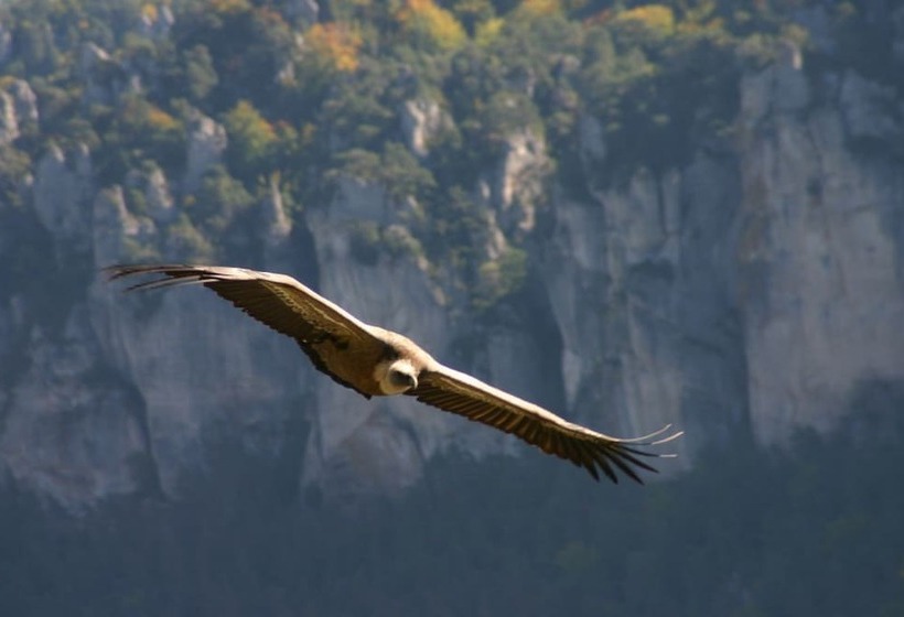 مبيت وإفطار La Grange Templière