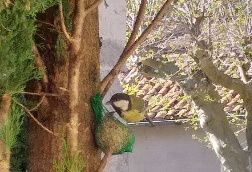 مبيت وإفطار La Grange Templière