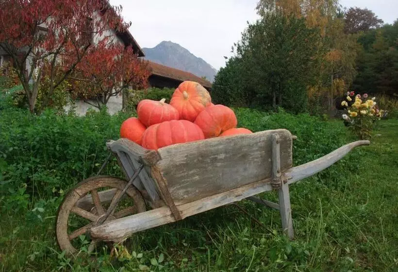 Aamiaismajoitus (B&B) Le Domaine Du Grand Cellier Chambres D'hôtes En Savoie