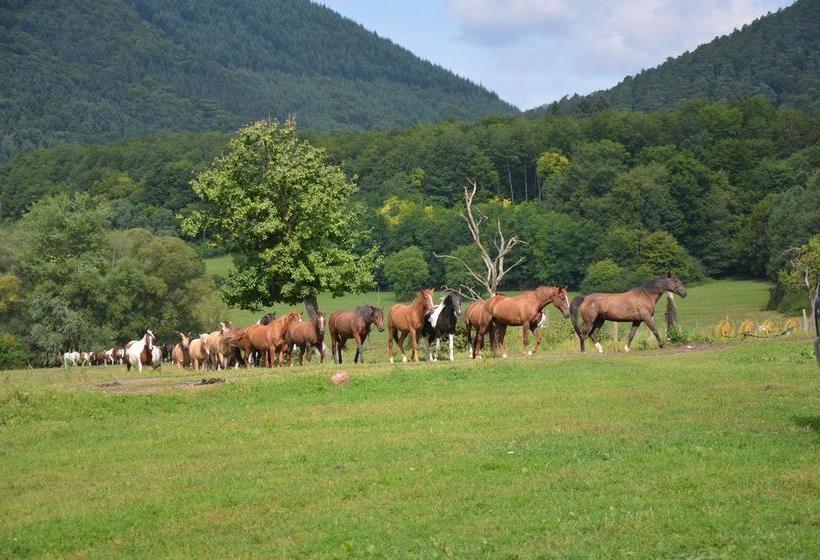 مبيت وإفطار Domaine Du Neufeld