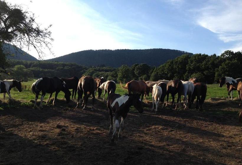 مبيت وإفطار Domaine Du Neufeld