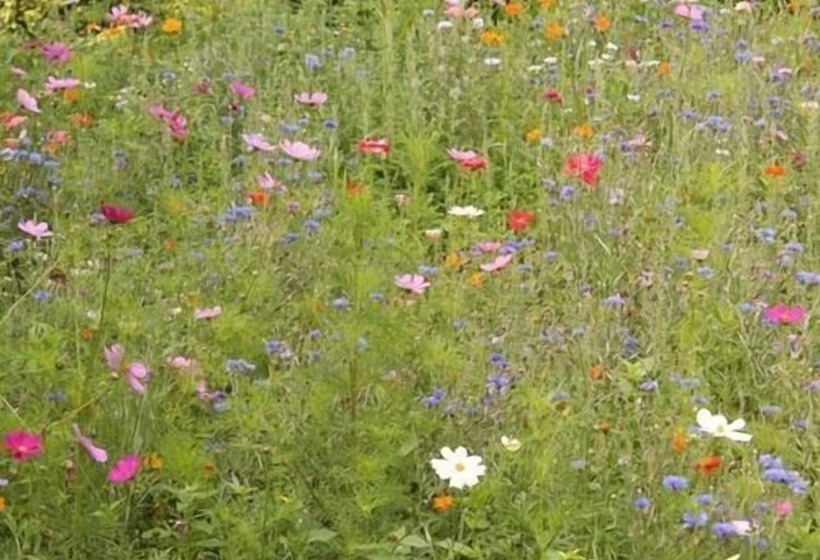 تختخواب و صبحانه Chambres D Hôtes Les Chambres De Mado