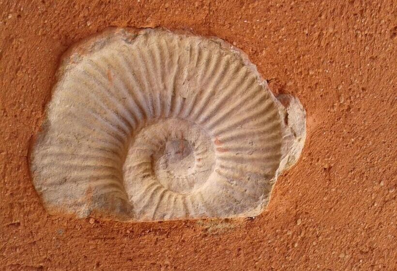 민박 Les Jardins De L'ermitage