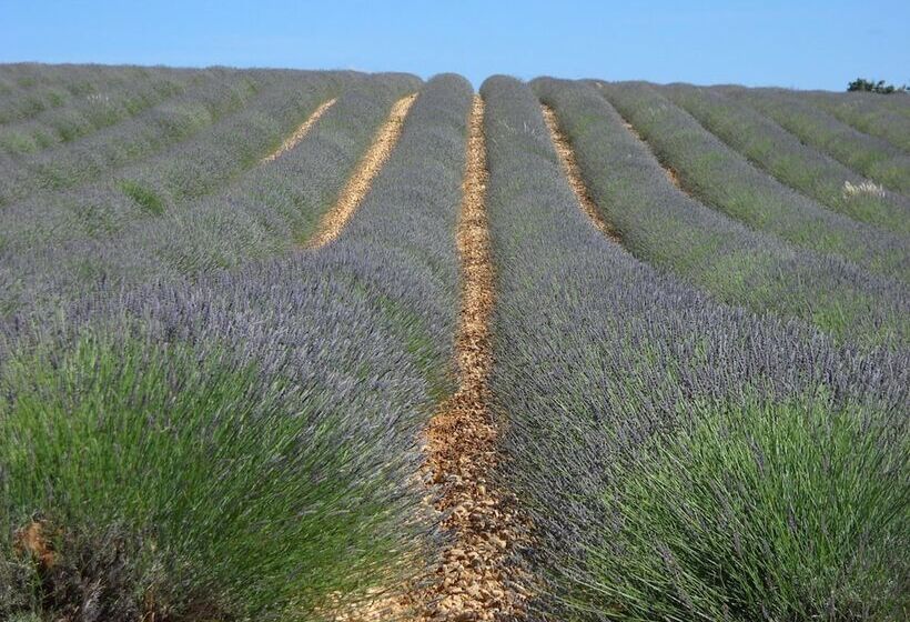 민박 Les Jardins De L'ermitage