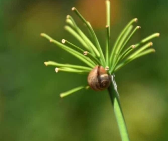 민박 Les Jardins De L'ermitage